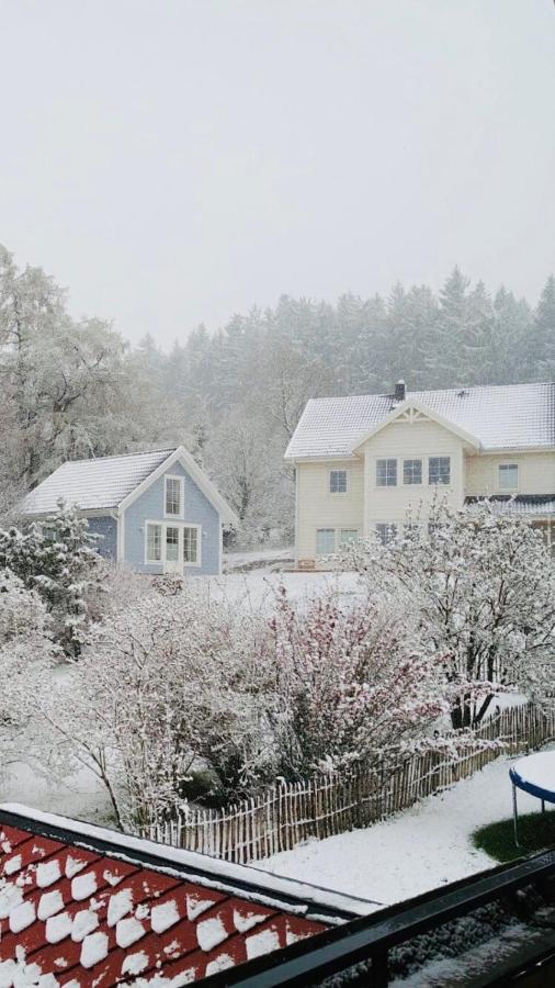 Haus Madita Breitnau Buitenkant foto
